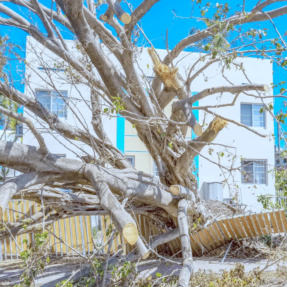 Protect Your Business Assets From Damage Or Loss Original